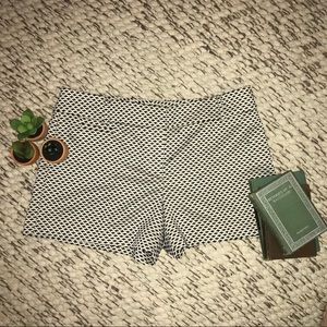 Ann Taylor LOFT Black and White Shorts NWT (12)